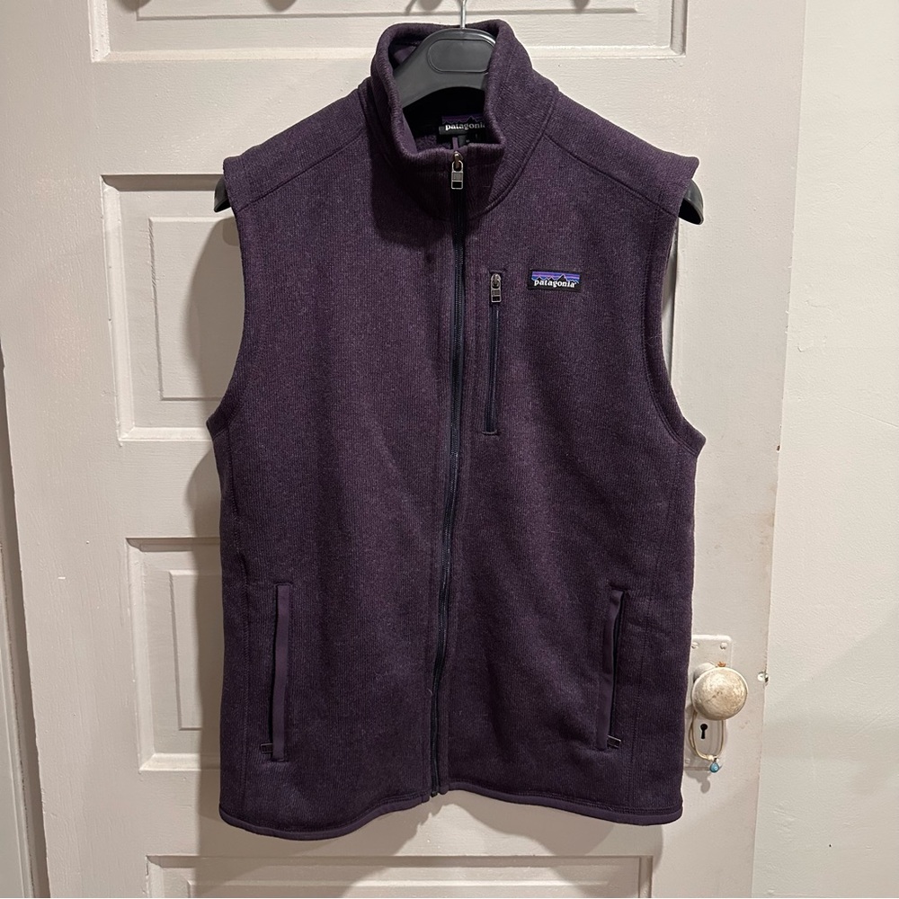 Men’s Patagonia better sweater fleece vest